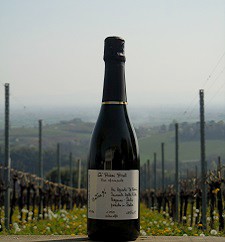 Brut Ca' Biasi Breganze