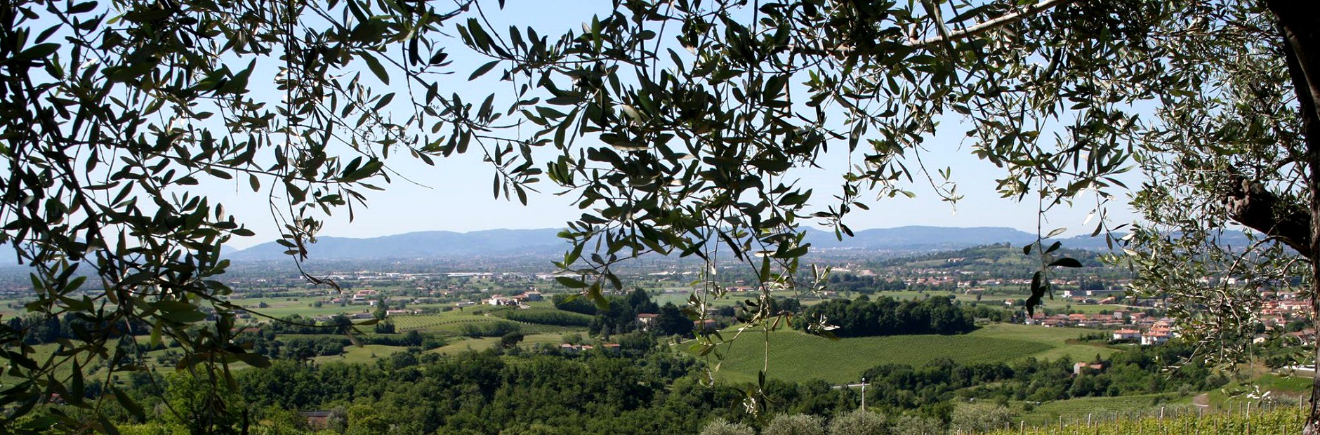 Panorama cantina vini Cà Biasi Breganze